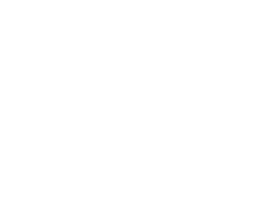 Siem Logo White